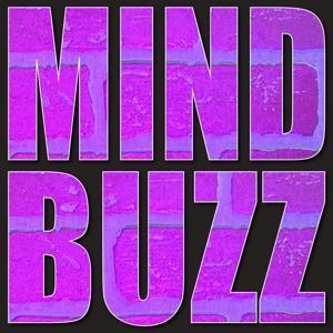 The Mindbuzz by Mindbuzz Podcast Network