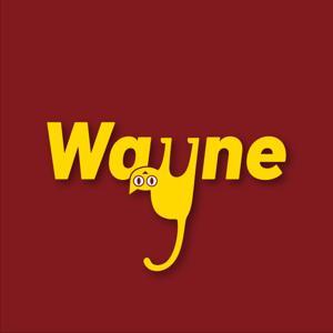 世界惊悚大案纪实 【Wayne调查】 by Wayne调查