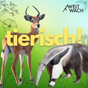 tierisch! – Zwei Forscherinnen und die wilde Welt der Tiere. by Weltwach / Dr. Frauke Fischer & Lydia Möcklinghoff