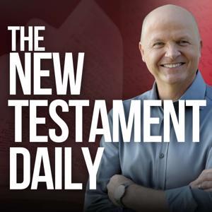 The New Testament Daily (with Jerry Dirmann) by Jerry Dirmann