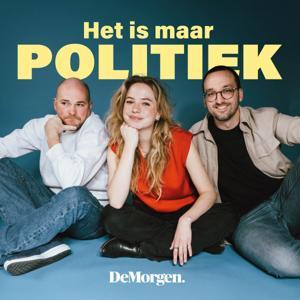 Het is maar politiek by De Morgen
