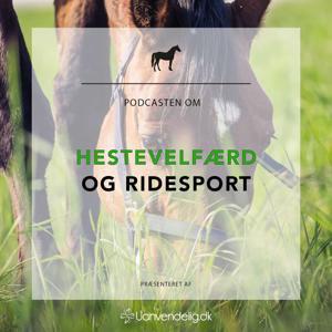 Uanvendelig eller Ridehest by Uanvendelig eller Ridehest