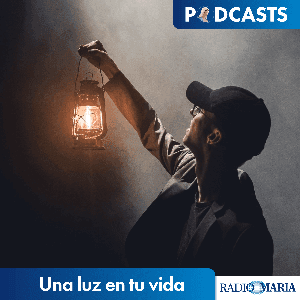 Una luz en tu vida by Mons. Manuel Sánchez Monge, P. José Antonio Medina, P. Valentín Aparicio, P. Guillermo Fernández, P. Paco Tomás Tomás, P. Julián Lozano y P. Alfonso del Río - Radio María ESP