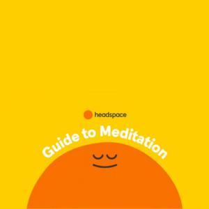 冥想正念指南 by 1只普通的小狗