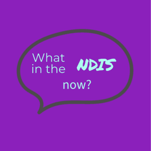 What in the NDIS now? by Hannah Redford and Sam Rosenbuam