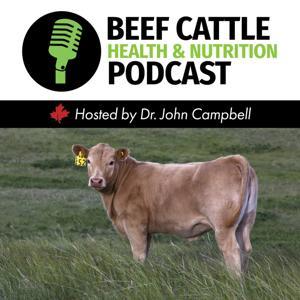 The Beef Cattle Health and Nutrition Podcast by Dr. John Campbell