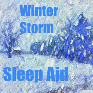 Winter Storm Sleep Aid by Inception Point Ai