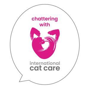 Chattering with iCatCare by International Cat Care