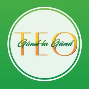 Gand la Gand cu Teo by Teo Trandafir