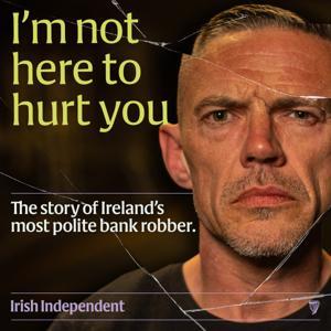 I'm Not Here To Hurt You by Irish Independent