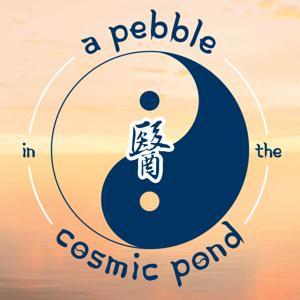 A Pebble in the Cosmic Pond by Sabine Wilms PhD