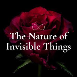 The Nature of Invisible Things by Erin Kelley