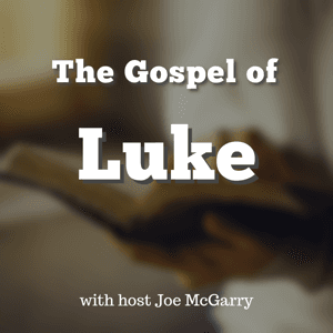 The Gospel of Luke by Joe McGarry
