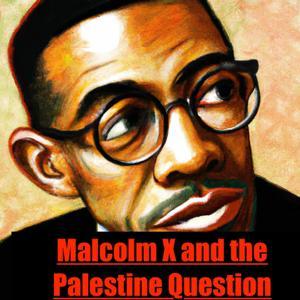 Malcolm X and the Palestine Question A Journey of Solidarity and Dissent by Inception Point Ai