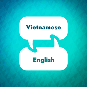 Vietnamese Learning Accelerator by Language Learning Accelerator