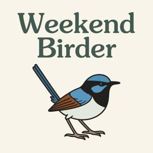Weekend Birder by Kirsty Costa