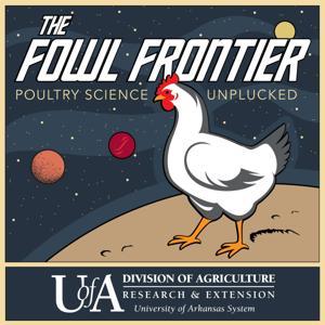 The Fowl Frontier: Poultry Science Unplucked by University of Arkansas System Division of Agriculture