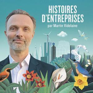 Histoires d'Entreprises by Martin Videlaine
