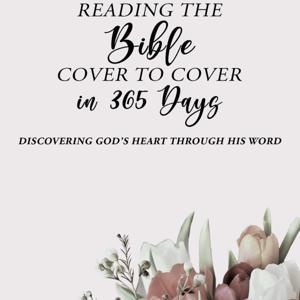 Reading the Bible Cover to Cover in 365 Days by Andrea Lende