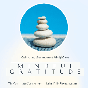 Mindful Gratitude by Leslie D Riopel