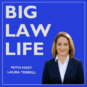 Big Law Life by Laura Terrell