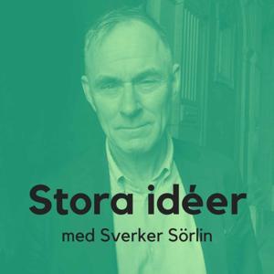 Stora idéer med Sverker Sörlin by Arena Idé