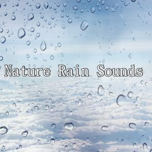 Nature Rain Sounds by Rain520