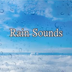 Nature Rain Sounds by Rain520
