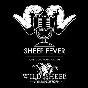 Sheep Fever by The Wild Sheep Foundation