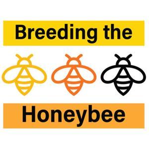 Breeding the Honeybee by Brent Nixon