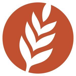 The Woodlands Methodist Church: Harvest Audio by The Woodlands Methodist Church