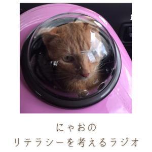 にゃおのリテラシーを考えるラジオ by 千葉　直樹