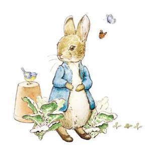 彼得兔的故事 by TiCook