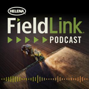 The FieldLink Podcast by Helena