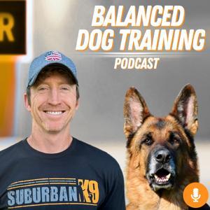Balanced Dog Training With Suburban K9 by Suburban K9