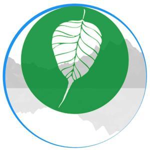 Somatic Primer Podcast by Somatic Primer