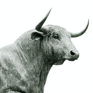 Sách Nói Chứng khoán by Gà mờ Chứng khoán