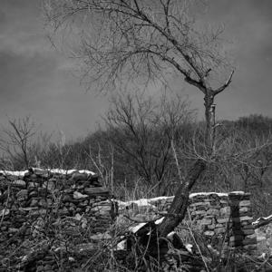 摄影世界 by 男神精世界