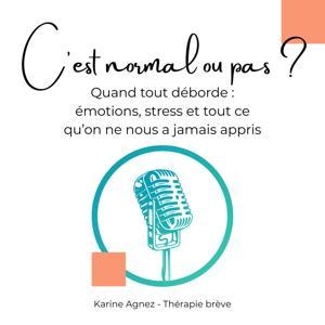 C'est normal ou pas ? - Quand tout déborde : émotions, stress et tout ce qu’on ne nous a jamais appris by Karine Agnez
