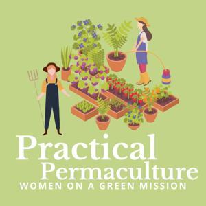 Practical Permaculture | Gardening and Intentional Living by Alysse Gallagher