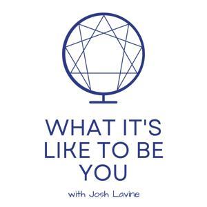 What It's Like To Be You by Josh Lavine