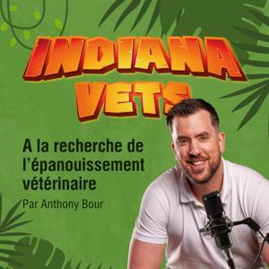 Indiana Vets by Anthony Bour