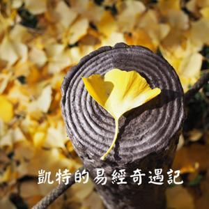 凱特的易經奇遇記 by 凱特