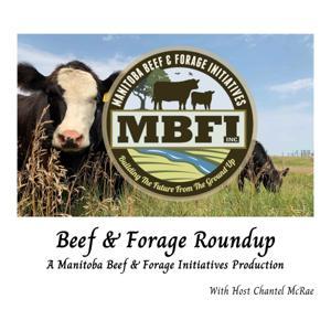 Beef and Forage Roundup by MBFI Inc.