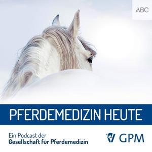 Pferdemedizin heute by Gesellschaft für Pferdemedizin, Prof. Karsten Feige, Ina Tenz
