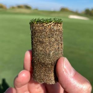 The ct_turf Podcast by Chris Tritabaugh