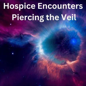 Hospice Encounters by Marie Betcher