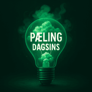 Pæling dagsins by paelingdagsins