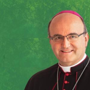 HOMILÍAS de Mons. Munilla by Jose Ignacio Munilla