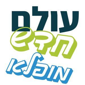 עולם חדש מופלא - מפתחות להצלחה בעולם משתנה by פרופ' עוז גוטרמן ופרופ' ארי נוימן